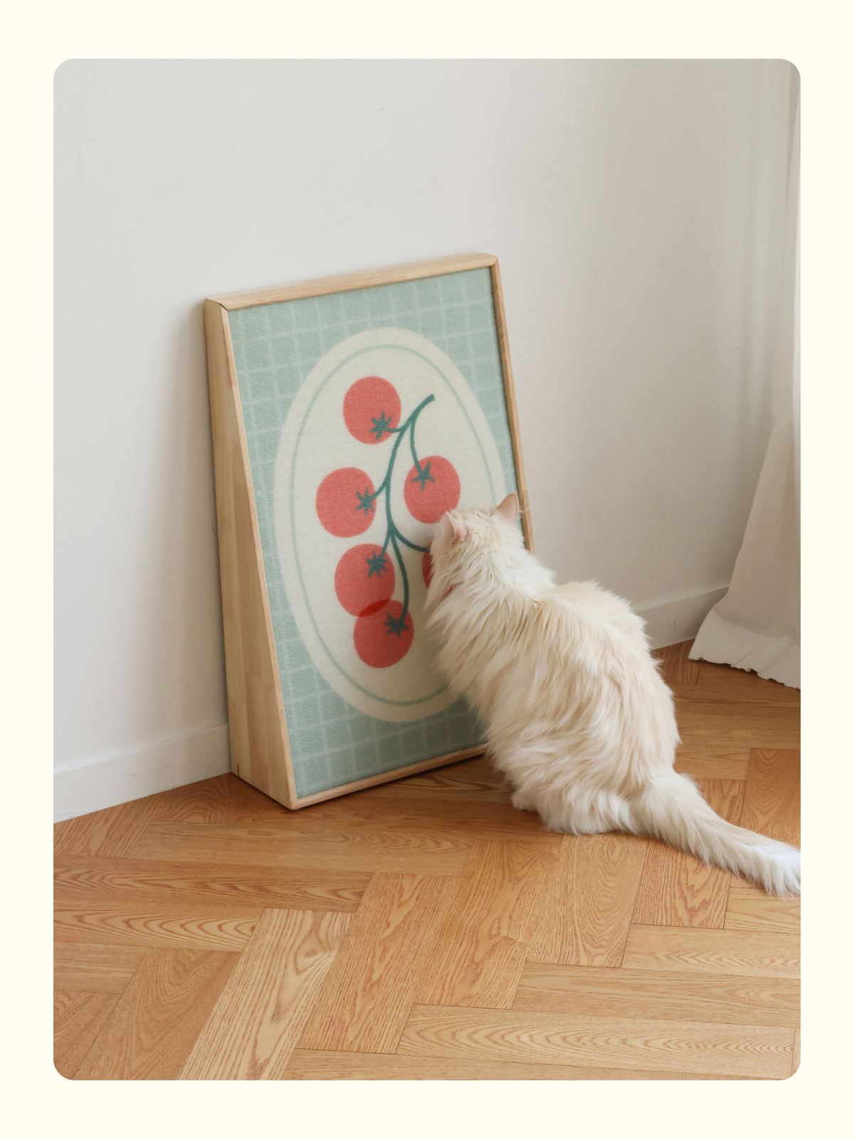 FIDOTAIL - Art Poster Scratcher