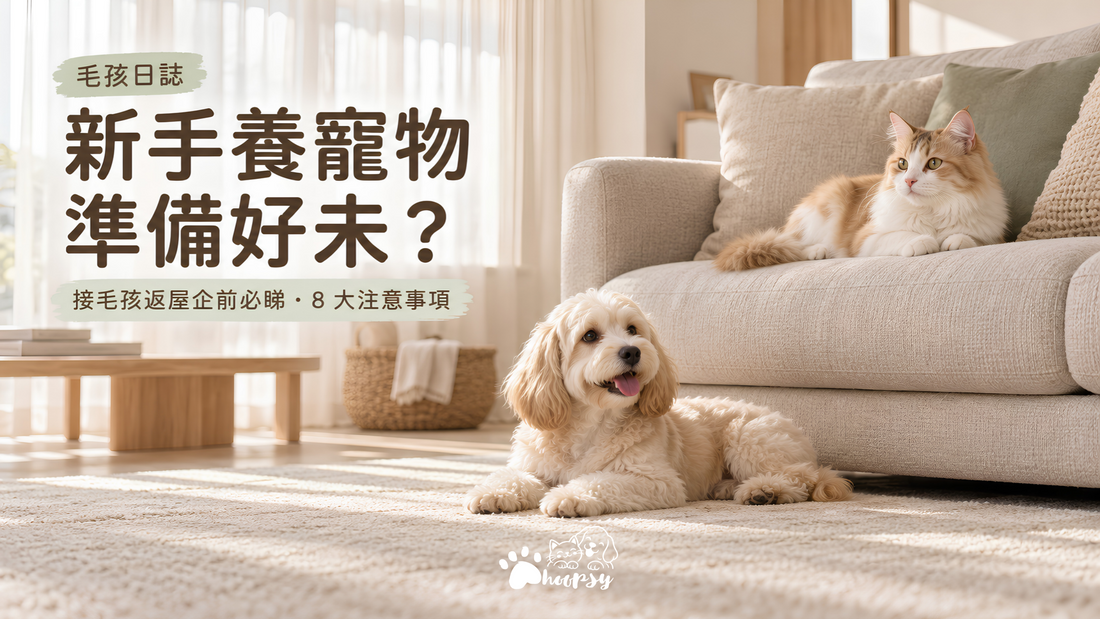 WHOOPSY PET 毛孩日誌 － 新手養寵物，準備好未？接毛孩返屋企前必睇 8 大注意事項