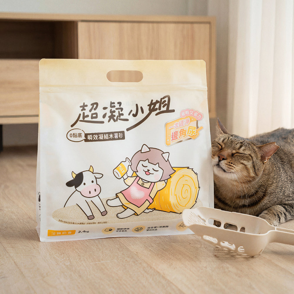 超凝小姐｜0黏底瞬效凝結木薯砂【淡雅奶香】