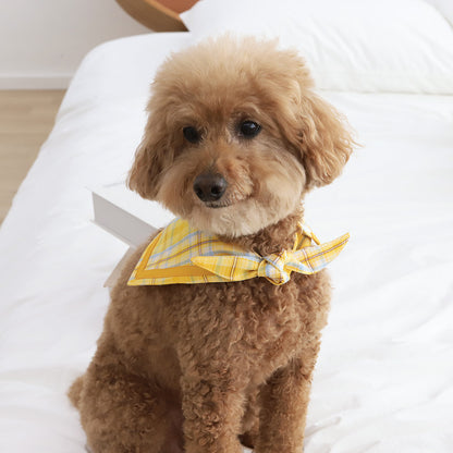 *In stock* U&amp;PET - School check embroidered cape scarf 