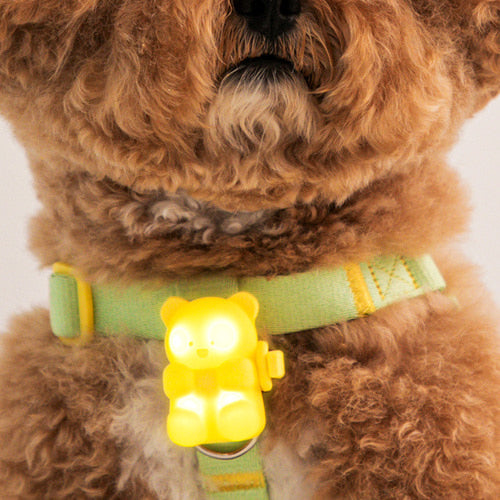 *Ready Stock* BITE ME - Jellybear LED Rechargable Blinker (3 colors) 