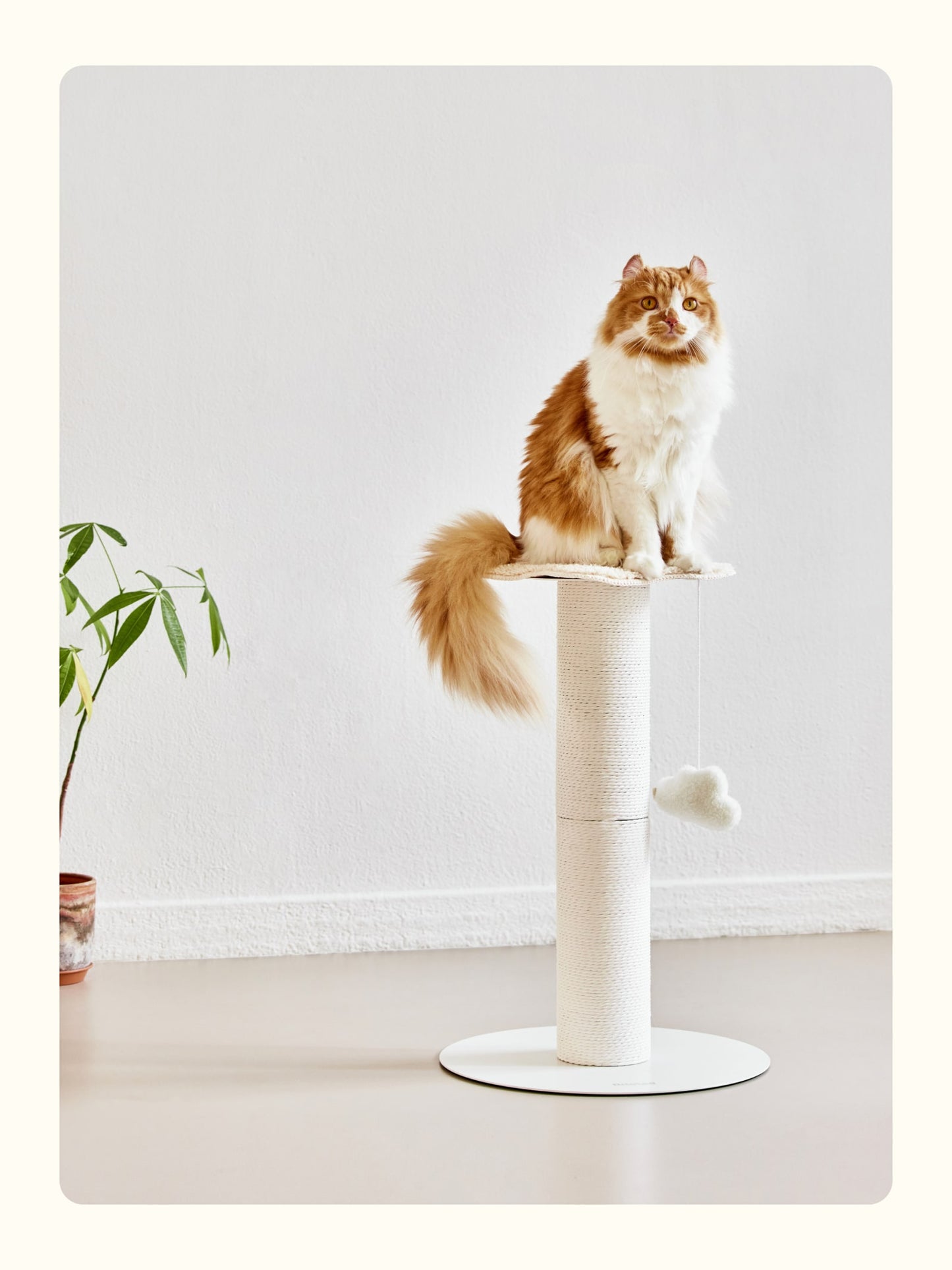 FIDOTAIL - Flower Paper Rope Post Scratcher