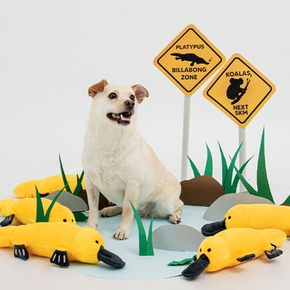 BITE ME - Big Tug Toy - Platypus 