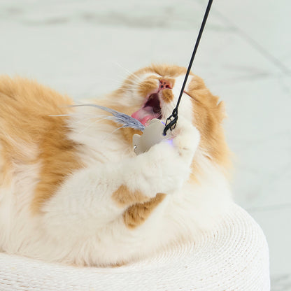 DUIT - KITTY PICKER