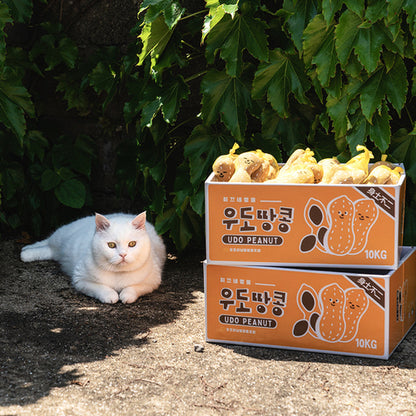 BITE ME - Peanut scratcher box 