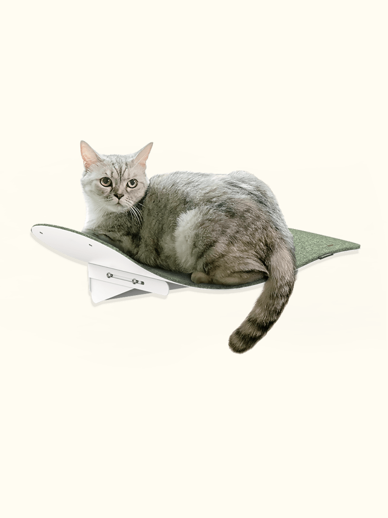 FIDOTAIL - Cat Wave Window Seat ver.1.5