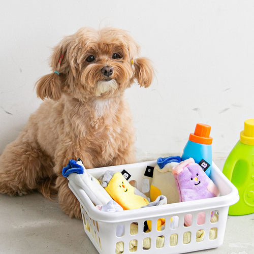 *現貨*BITE ME - Socks nose-work toy (A set of 3 socks)