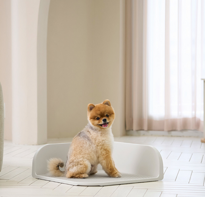 DUIT - CUSTOM POTTY TRAY 