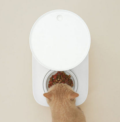 DUIT - THE TABLE PLUS AUTOMATIC FEEDER APP VER !SET! 