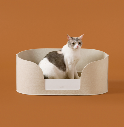 DUIT - ALL DAY BASKET WITH BOARD !SET! 