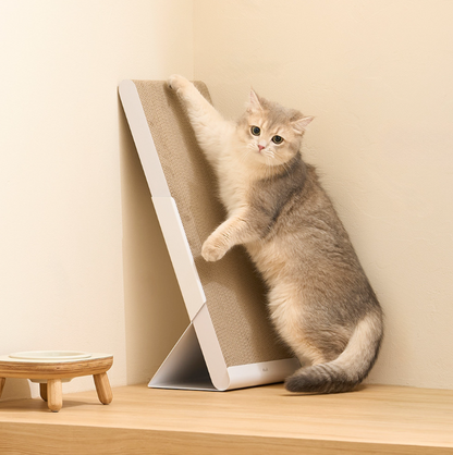 DUIT - STANDING BOARD (SINGLE / SET) 