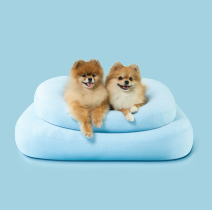 DUIT - SUMMER CUSHION 
