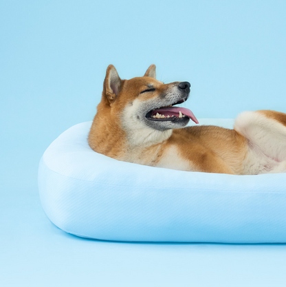 DUIT - SUMMER CUSHION 