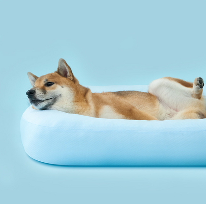 DUIT - SUMMER CUSHION 