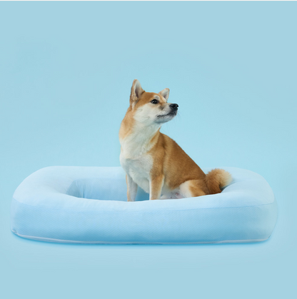 DUIT - SUMMER CUSHION 