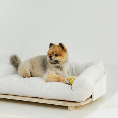 DUIT - NOOP NOOP CUSHION IN BED (frame+cushion set) 