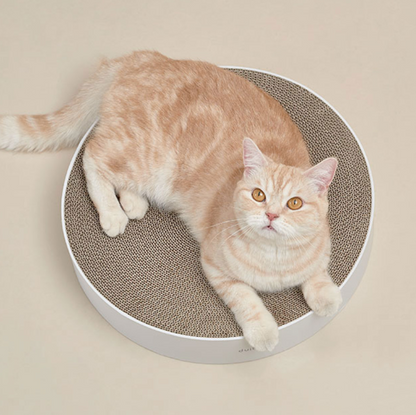 DUIT-ROUND TABLE HOUSE 
