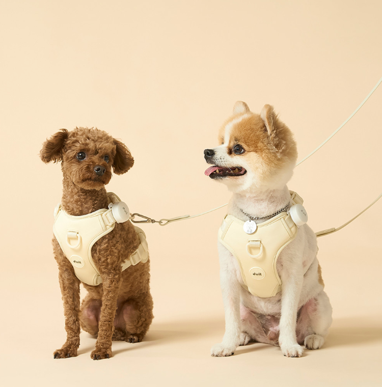 DUIT - BODY FIT HARNESS / LEASH