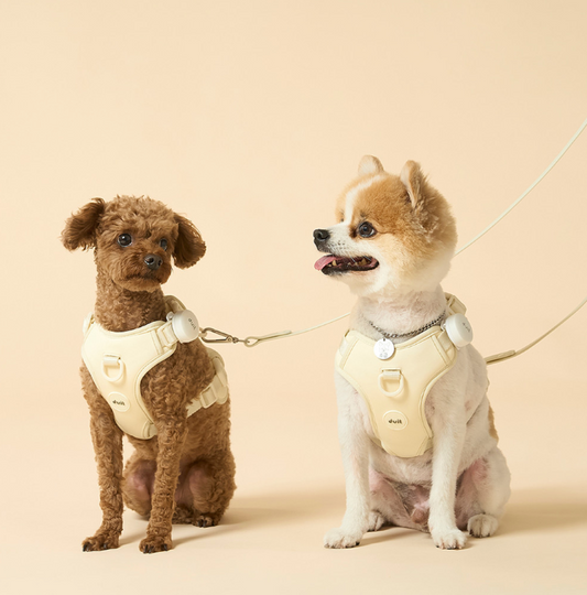 DUIT - BODY FIT HARNESS / LEASH