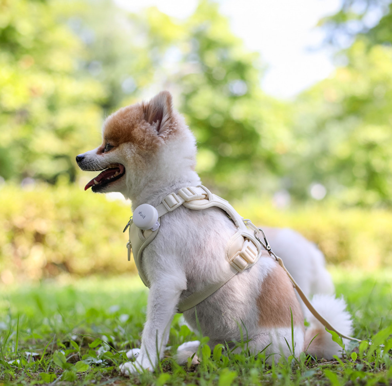 DUIT - BODY FIT HARNESS / LEASH