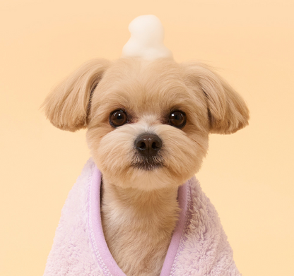 DUIT - RICH FOAM SHAMPOO 
