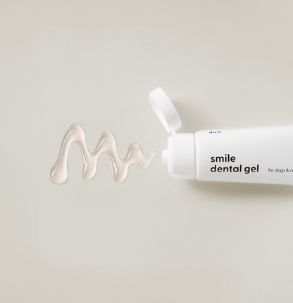 DUIT - SMILE DENTAL BRUSH / GEL 