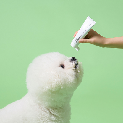 DUIT - SMILE DENTAL BRUSH / GEL 