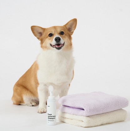 DUIT - FRESH WATERLESS SHAMPOO 