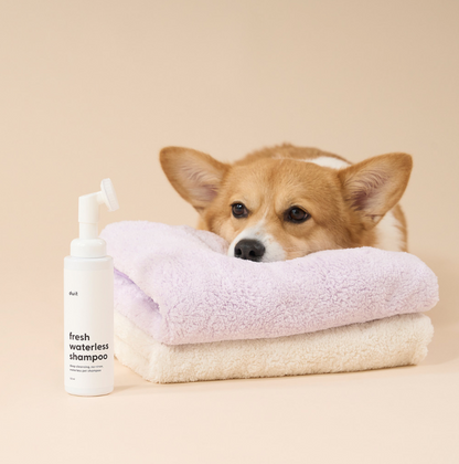 DUIT - FRESH WATERLESS SHAMPOO 