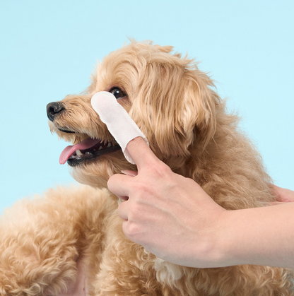 DUIT - CLEAN EYE FINGER TISSUE 