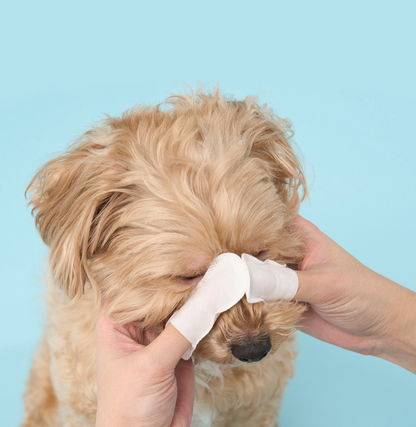 DUIT - CLEAN EYE FINGER TISSUE 