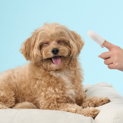 DUIT - CLEAN EYE FINGER TISSUE 