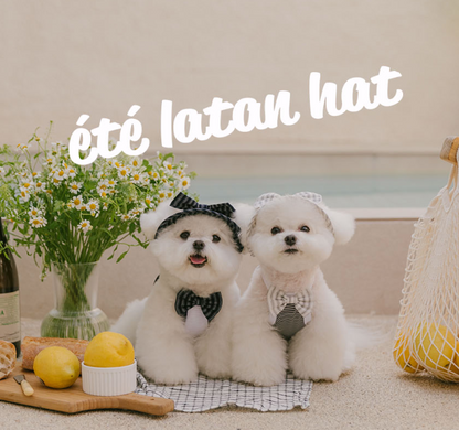 ToDley-ete LATAN HAT 