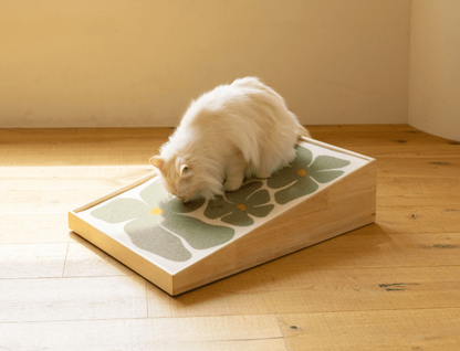 FIDOTAIL - Art Poster Scratcher 