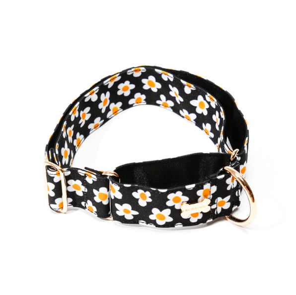 NORADOG - DAISY Martingale Collar