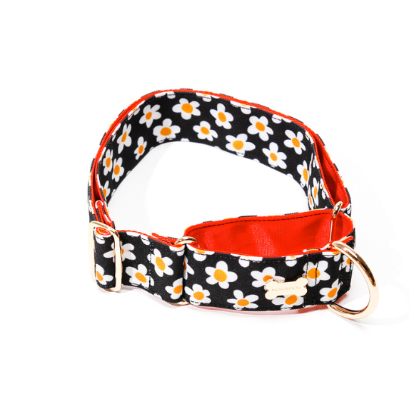 NORADOG - DAISY Martingale Collar