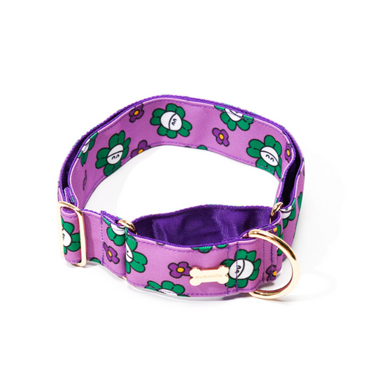 NORADOG - Mr. Clover Martingale Collar