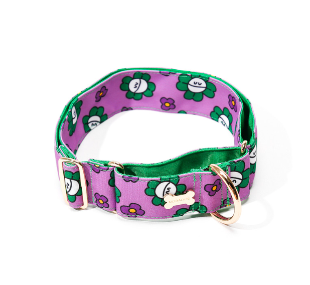 NORADOG - Mr. Clover Martingale Collar