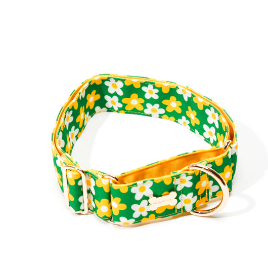 NORADOG - Picnic Martingale Collar