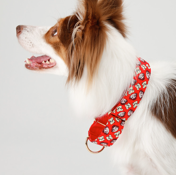 NORADOG - Peko Martingale Collar