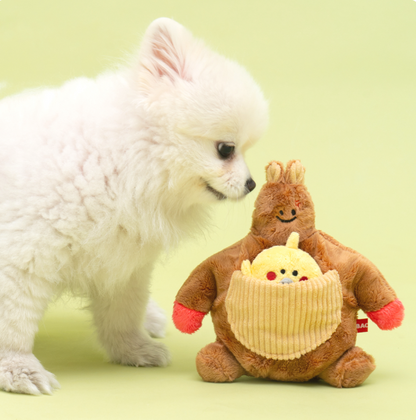 *In Stock* BACON BOX - Bulk Up Kangaroo Hunting Toy 