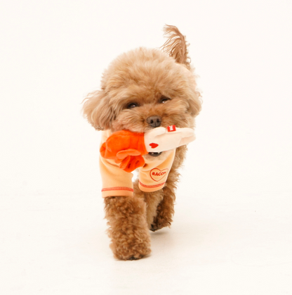 *In Stock* BACON BOX - Kimchi Jackson Friends Toy 