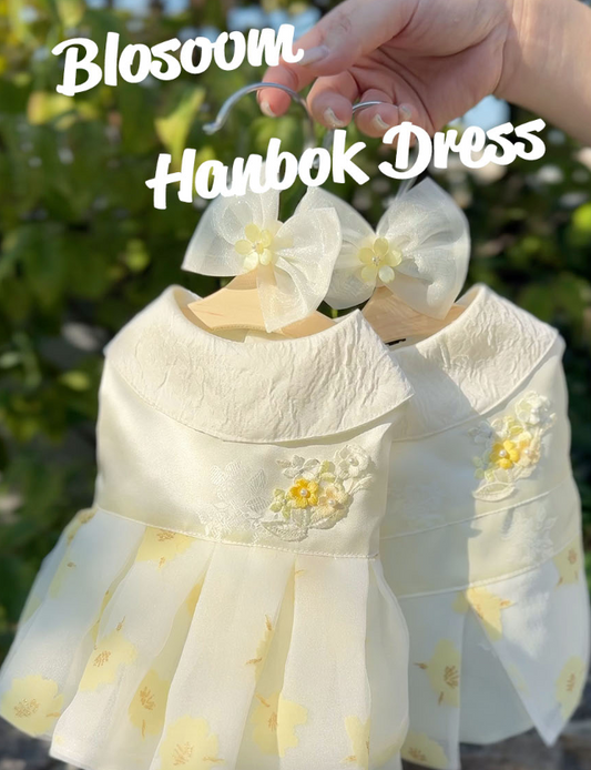 TODLEY - BLOSSOM HANBOK DRESS