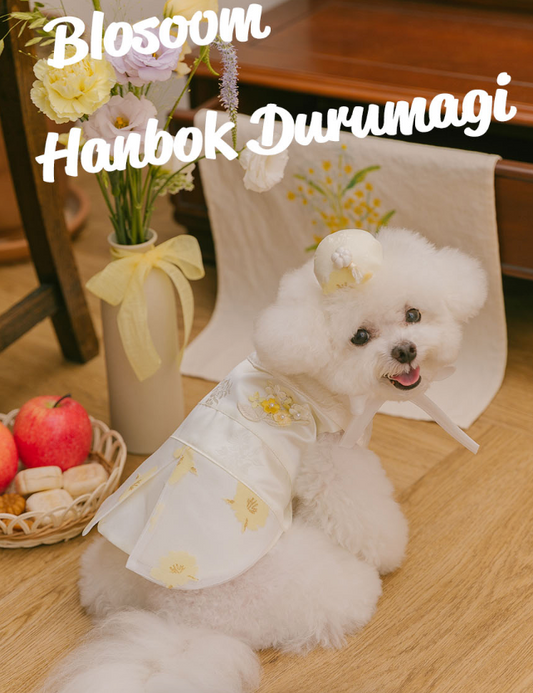 TODLEY - BLOSSOM HANBOK DURUMAGI