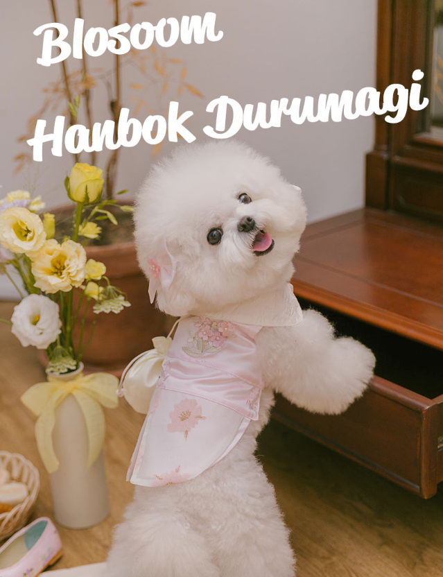 TODLEY - BLOSSOM HANBOK DURUMAGI