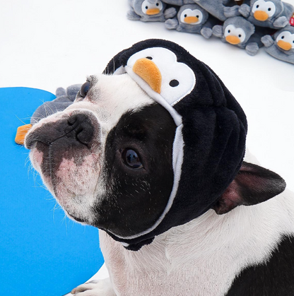 *Spot* BACON BOX - You've become a penguin. SIZE 