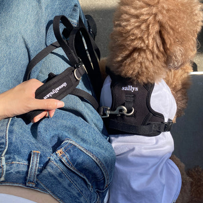 THESALLYSLAW - Classic walk two ways leash 