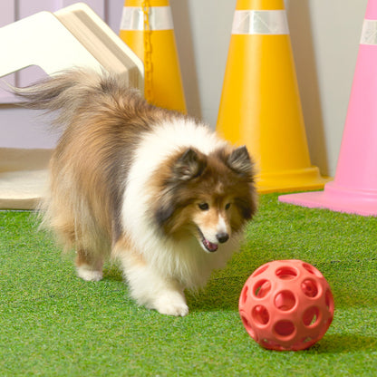 DUIT - YUMMY BALL TOY