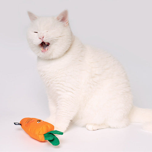 BITE ME - Carrot catnip Cat Toy