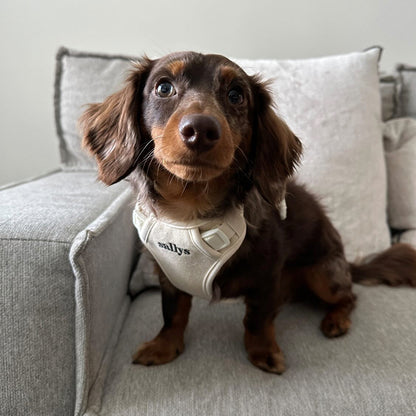 THESALLYSLAW - Classic walk harness 